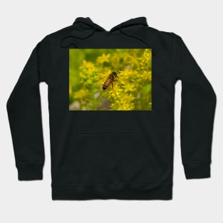 Yellow Flower and Honey Bee Hoodie